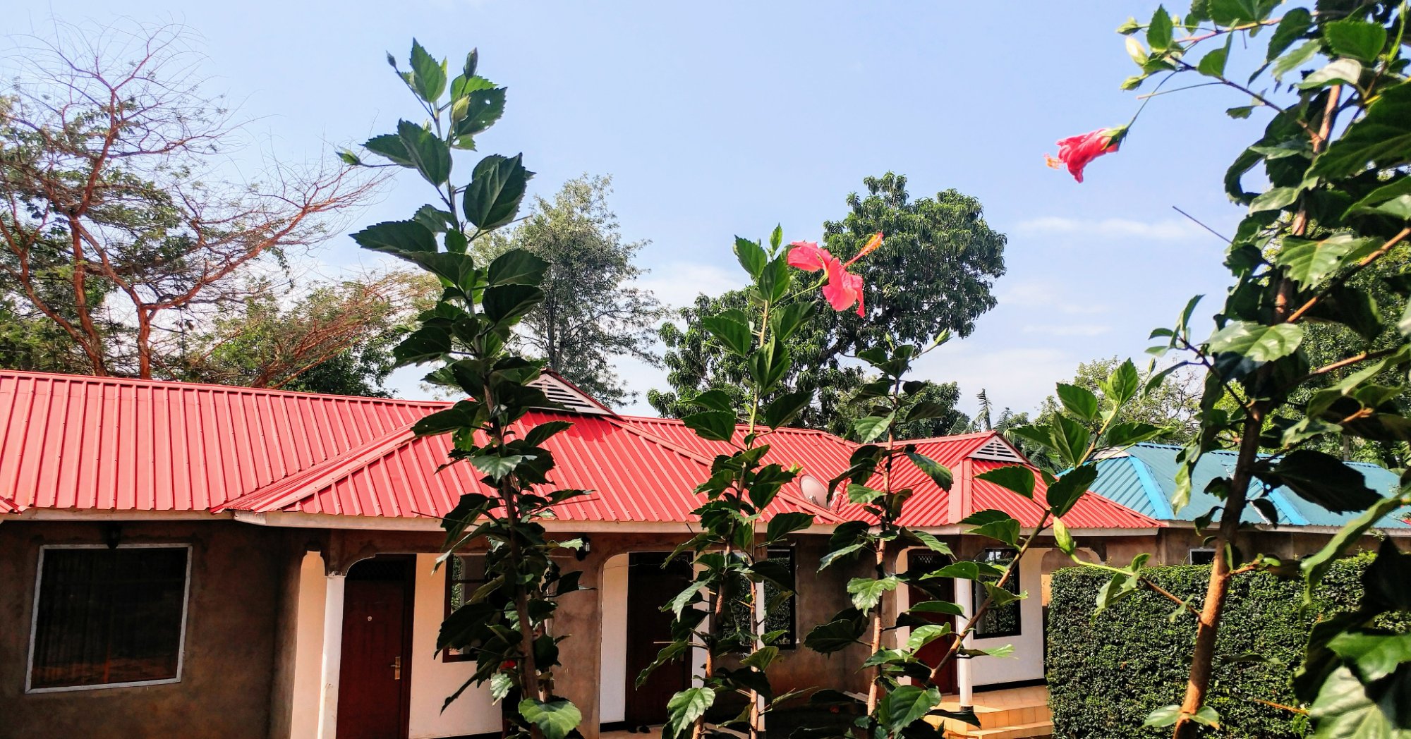 Acacia Tree Apartments