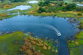 Drone Photography on Safari: What You Need to Know