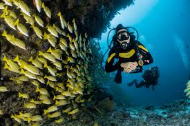 Diving in the Indian Ocean: Top Sites in Tanzania