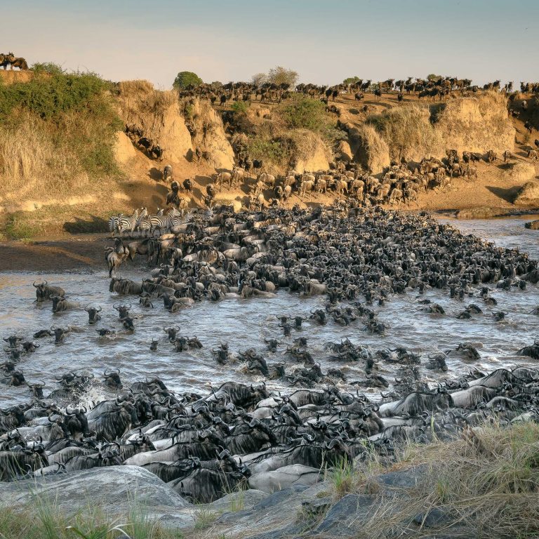 Why the Great Migration is Africa’s Most Spectacular Wildlife Event