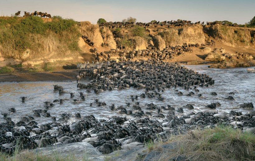 Why the Great Migration is Africa’s Most Spectacular Wildlife Event