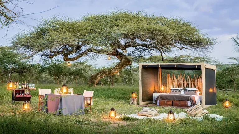 3-Day Signature Luxury Safari Experience