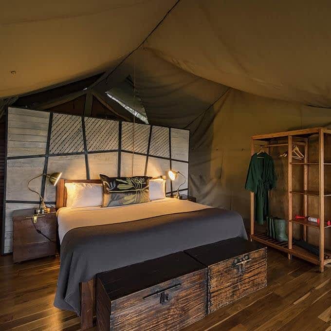 luxury safari room dunia camp small