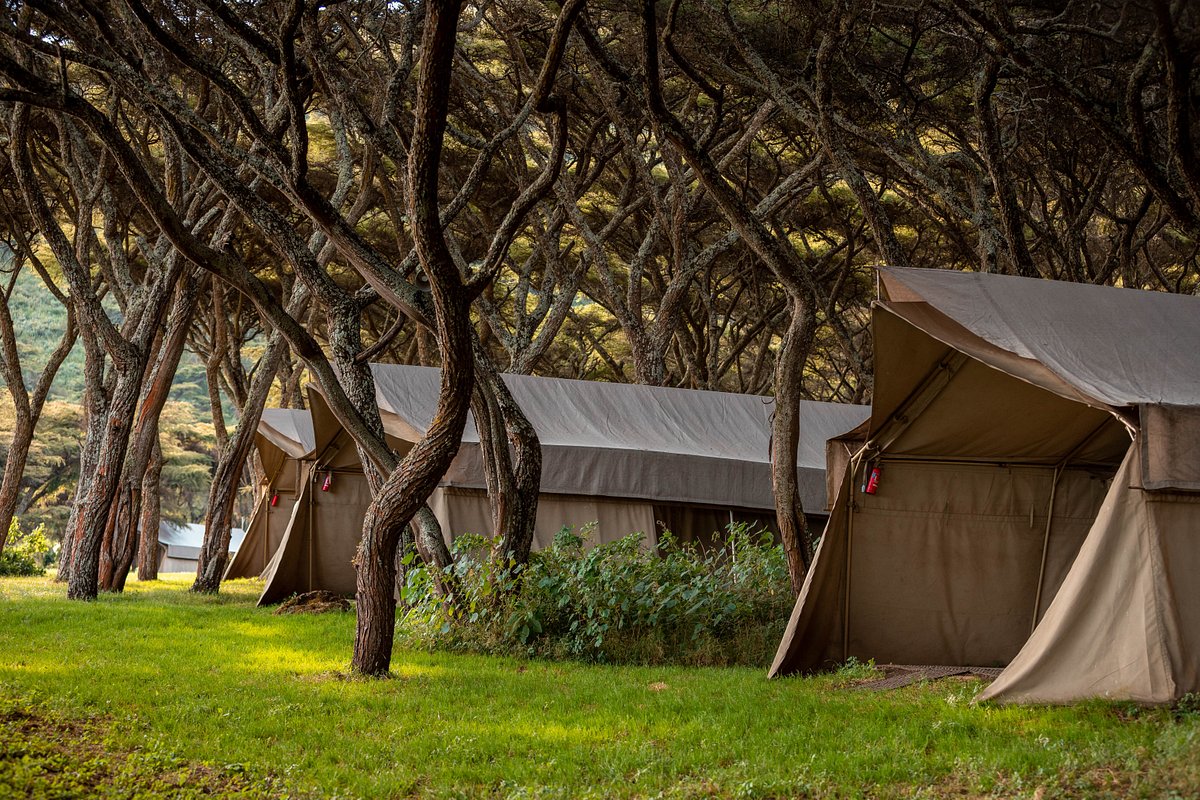 Acacia Migration Camp – Ndutu