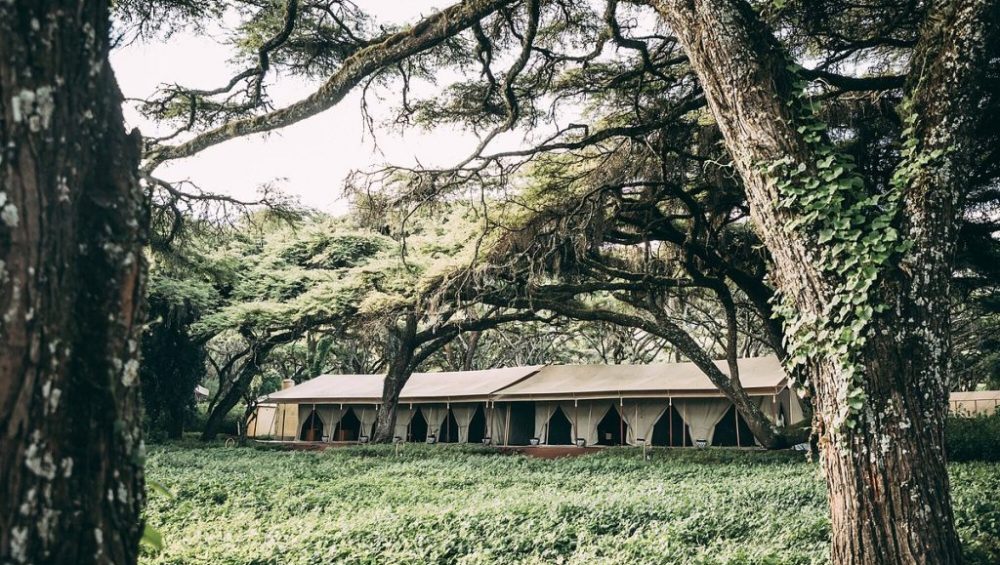 ngorongoro tortilis camp 3 1024x683 1