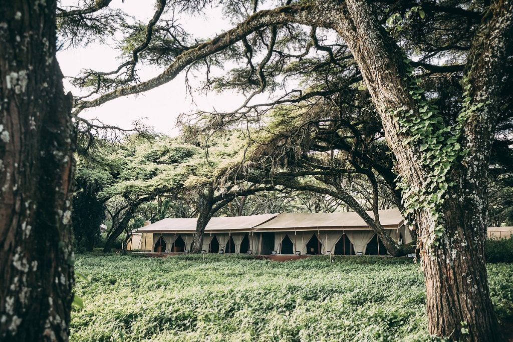 Ngorogoro Tortilis Camp