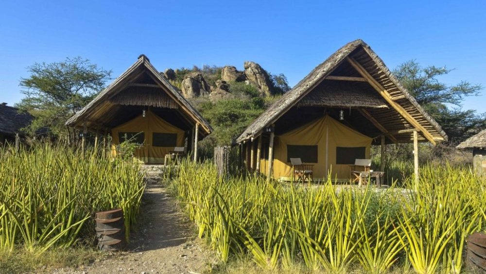 olduvaï camp 43 olduvai camp 1024x683 1