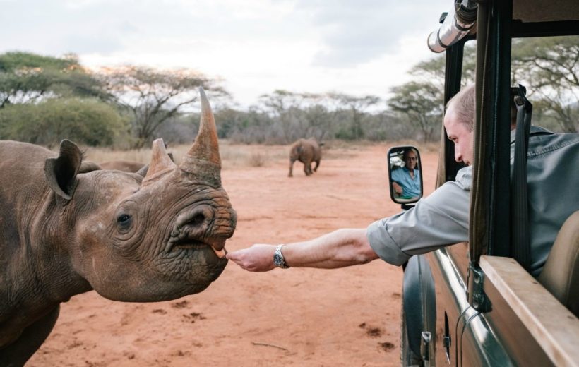 Rhino Conservation in Tanzania: How You Can Help