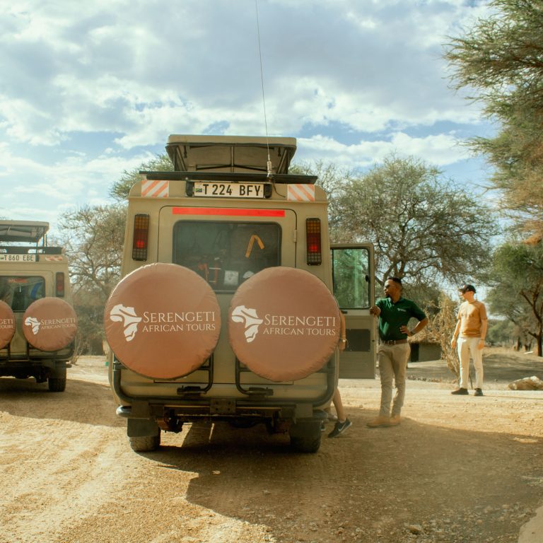 Self-Drive vs. Guided Safari: Which One is Right for You?