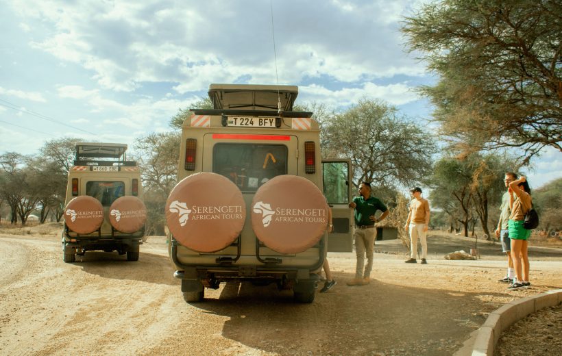 Self-Drive vs. Guided Safari: Which One is Right for You?