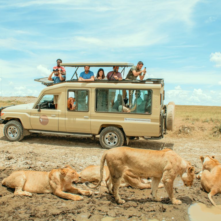 The Ultimate Guide to Tanzania’s Big Five Safari