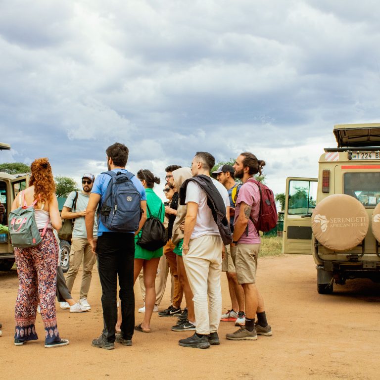 A Day in the Life of a Safari Guide: Behind the Scenes