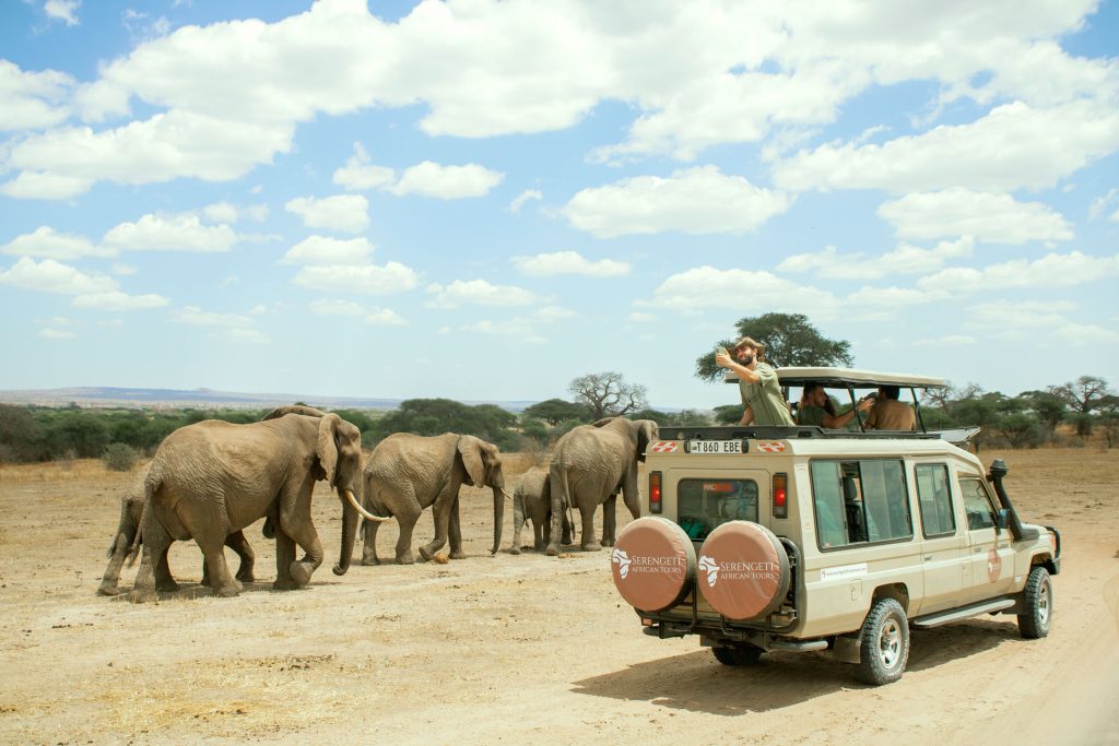 Chasing the Green Season: Why Rainy Season Safaris are Underrated