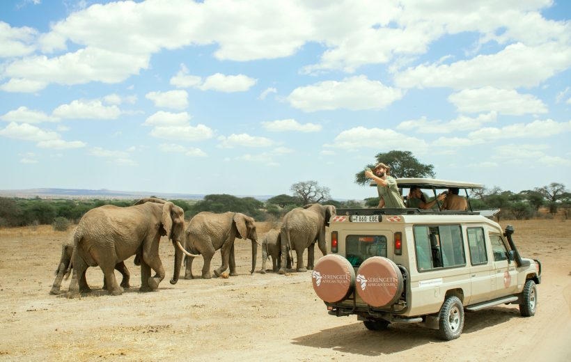 Chasing the Green Season: Why Rainy Season Safaris are Underrated