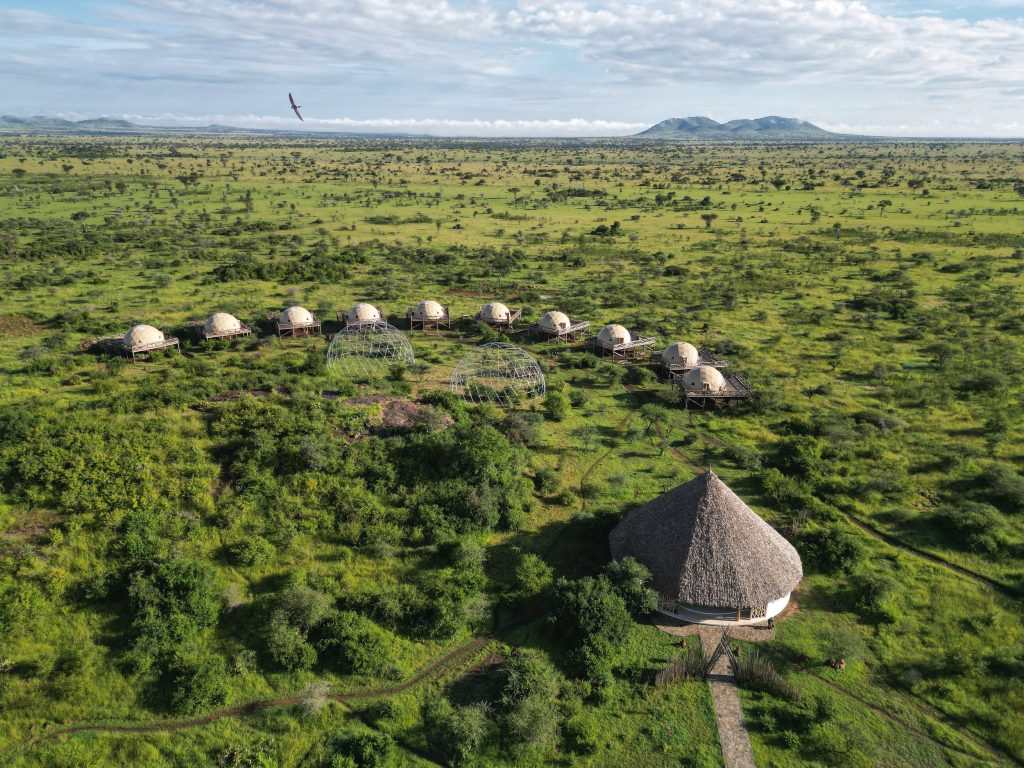 safari accomodation