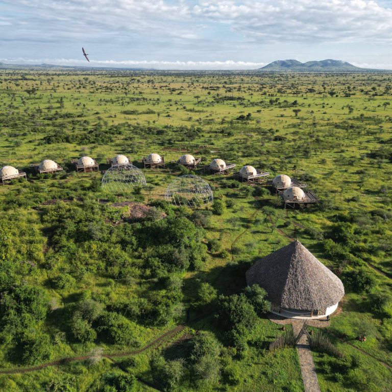 How to Book the Perfect Safari Lodge: A Step-by-Step Guide