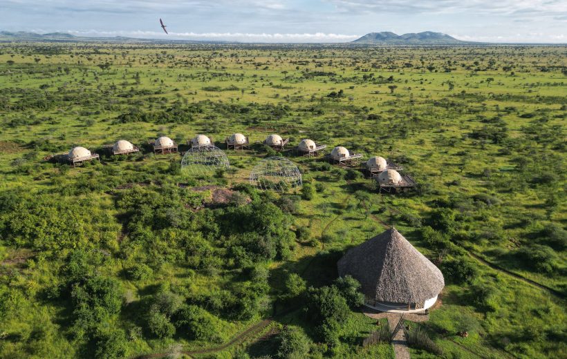 How to Book the Perfect Safari Lodge: A Step-by-Step Guide