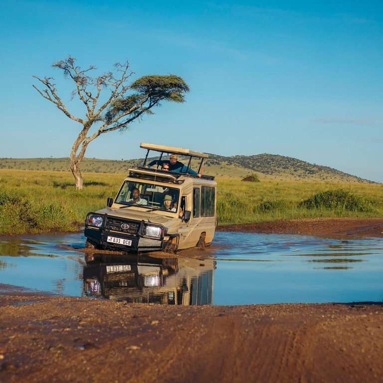 Safari in the Rainy Season: What You Need to Know