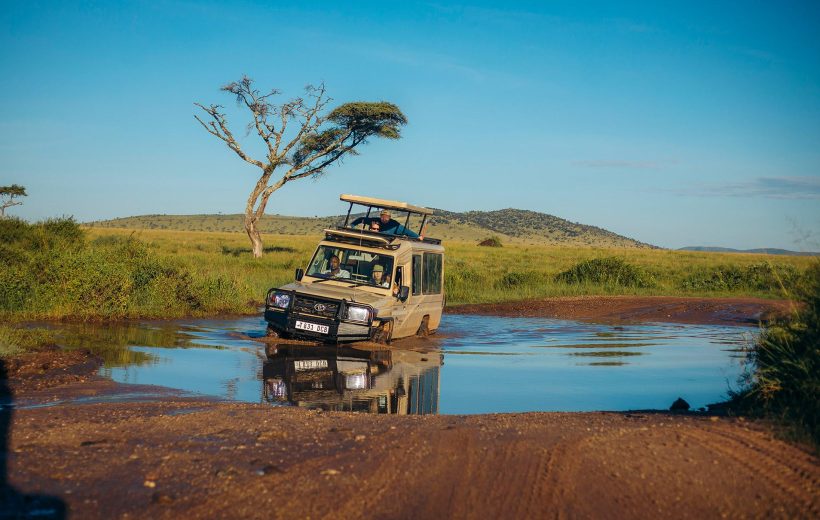 Safari in the Rainy Season: What You Need to Know