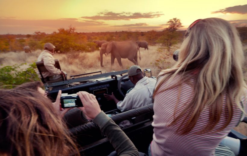 Wildlife Photography Tips for Capturing Stunning Safari Shots