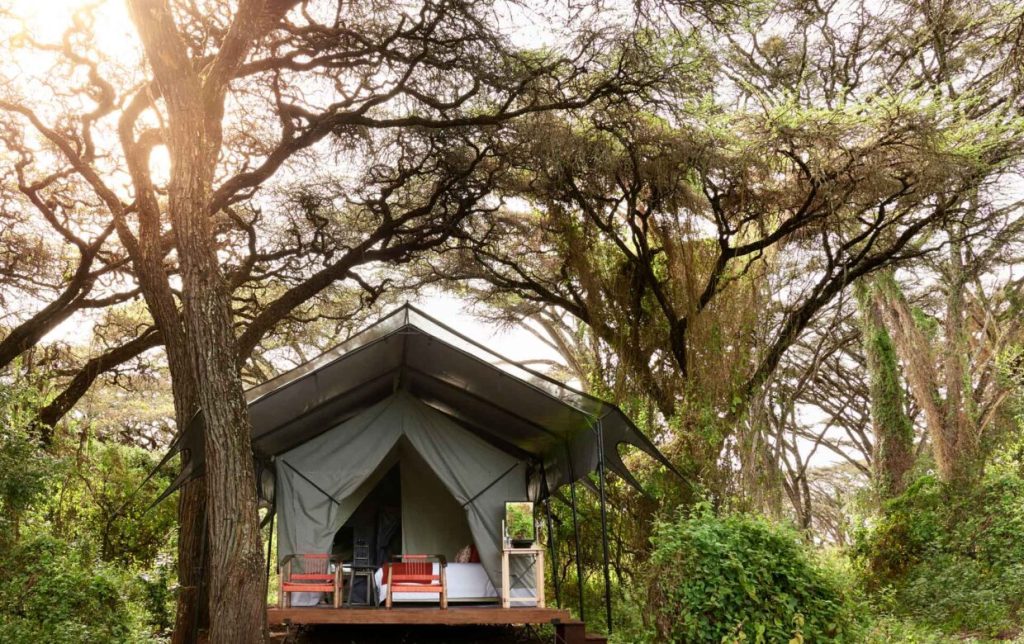 sanctuary ngorongoro crater camp 1920x1280 13 1240x780 1