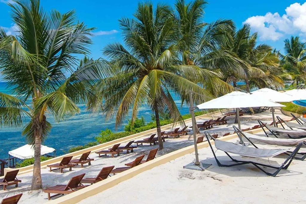 How to Combine a Safari with a Beach Holiday in Zanzibar: The Ultimate Tanzanian Adventure 10 tanzania safari zanzibar beach tour