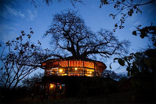 tree house at tarangire