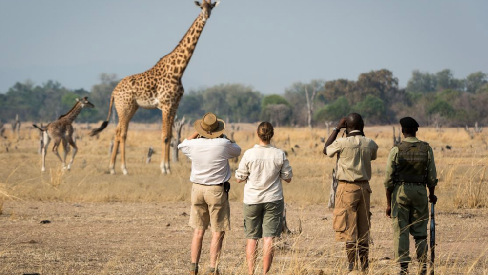 walking safari photography Tarangire