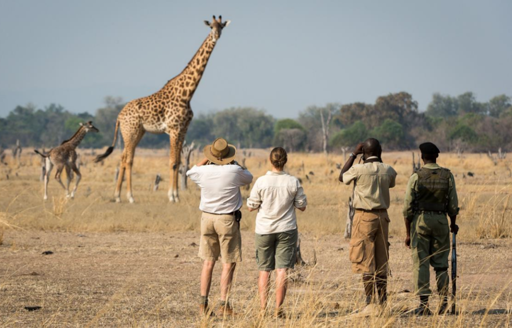 walking safari photography Tarangire
