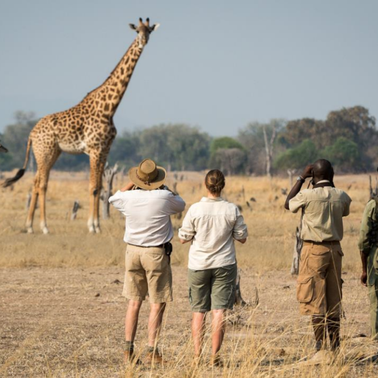 Meet the Rangers: The Guardians of Tanzania’s Wildlife