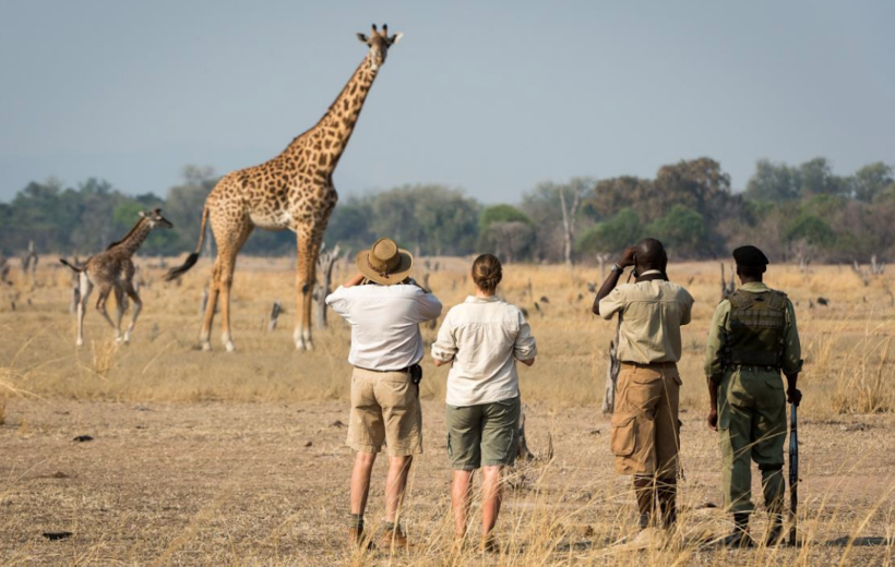 Meet the Rangers: The Guardians of Tanzania’s Wildlife