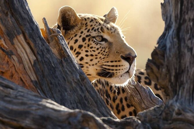 5-Day Wonderful Tanzania Student Vacation
