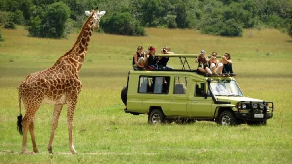 6-Day Enjoy Great Migration in Northern Serengeti
