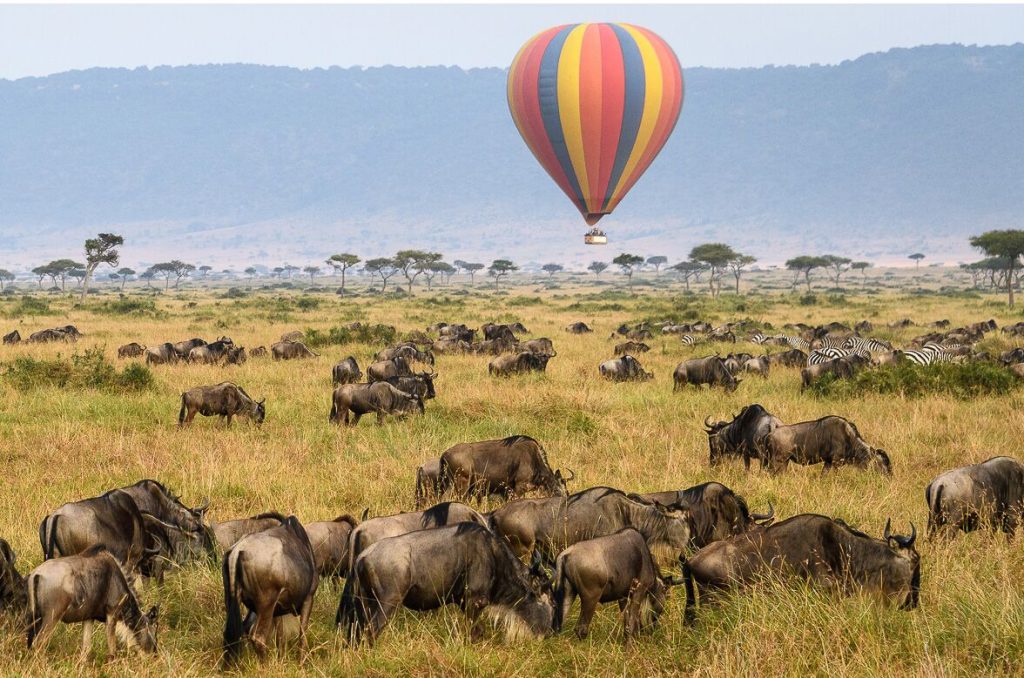 5-Day Tanzania Safari with Hot Balloon