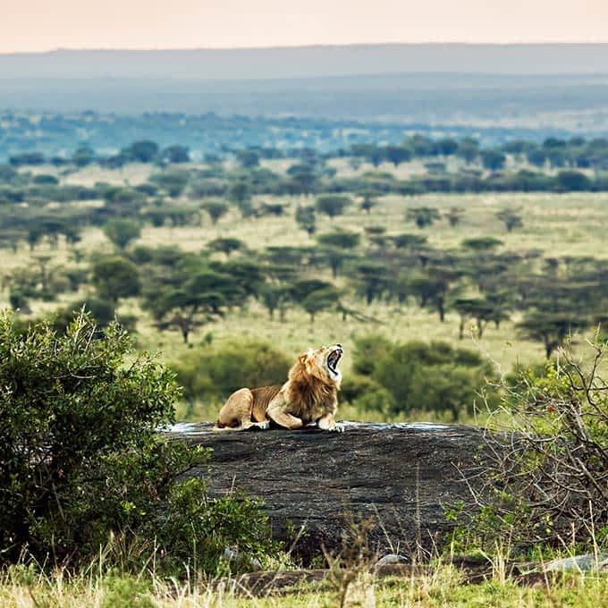 5-Day Fly-in from Arusha to Serengeti National Park