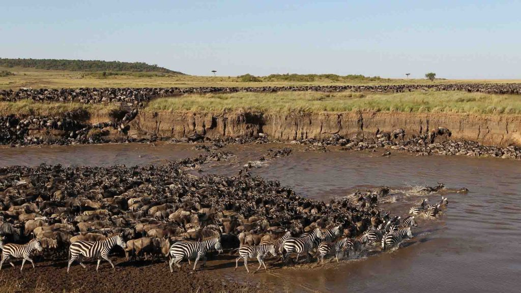 4-Day Witness Great Migration Fly in to Kogatende