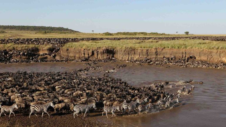 4-Day Witness Great Migration Fly in to Kogatende