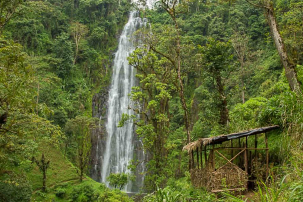 5-Day Tanzania Safari, Waterfalls and Coffee Tour