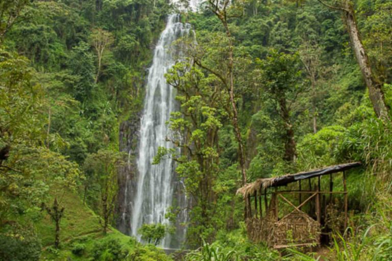 5-Day Tanzania Safari, Waterfalls and Coffee Tour