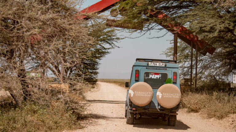 4-Day Serengeti, Ngorongoro and Kilimanjaro Hike