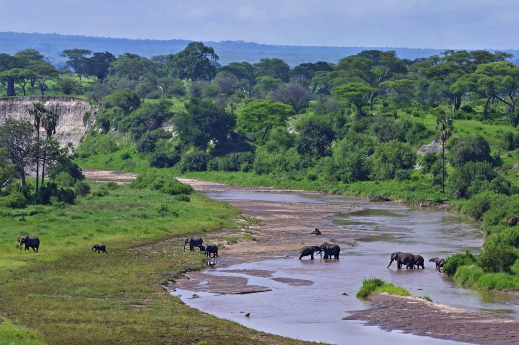 3-Day Tarangire, Ngorongoro and Kilimanjaro Hike