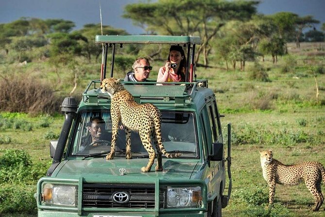 4-Day Annivesary Fly in Tour Serengeti and Ngorongoro