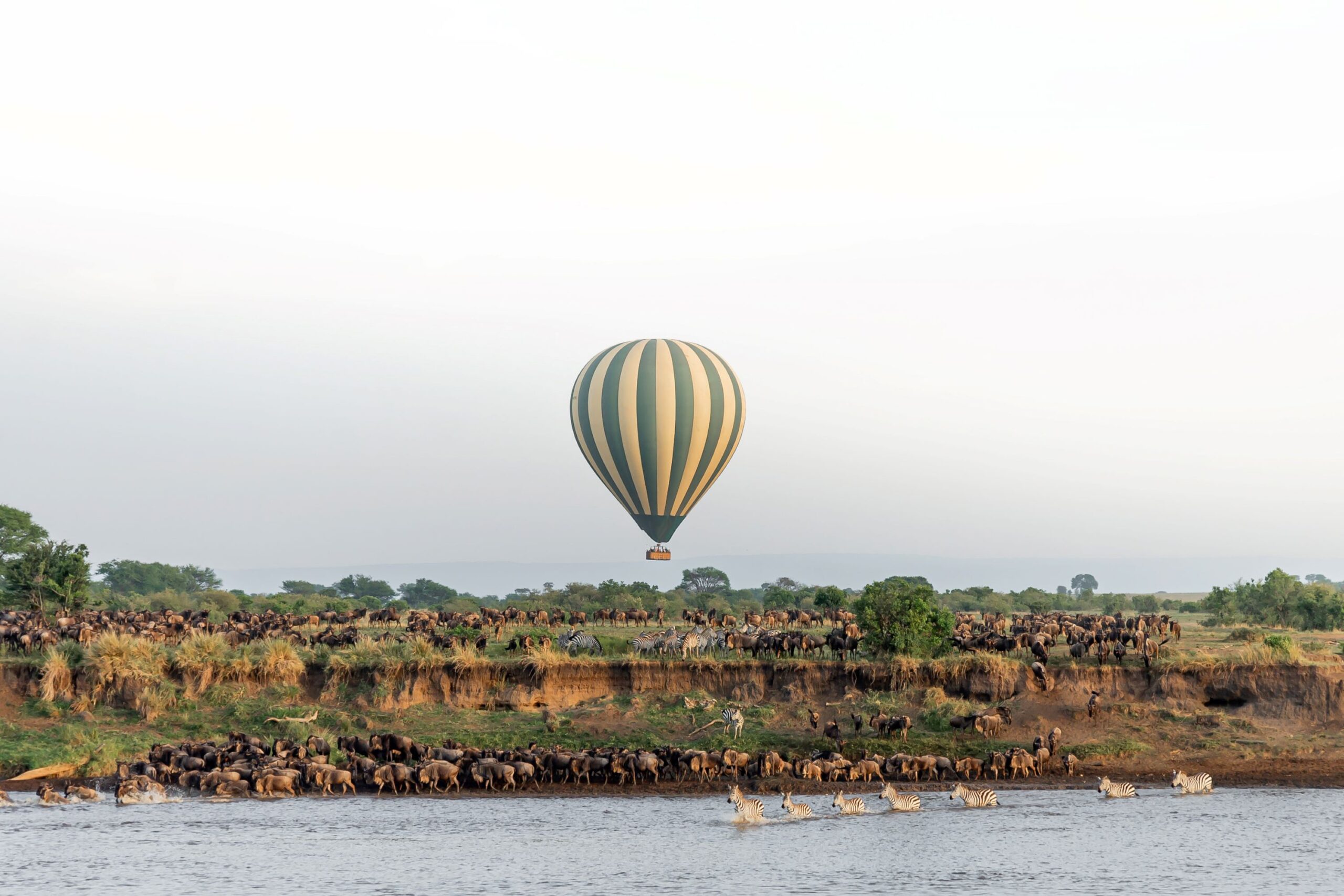 Balloon Safari