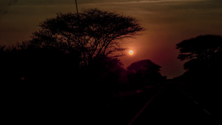 5-Day Safari Adventure with Premium Five-Star Hotel Stay