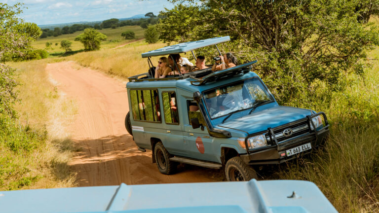 4-Day Luxury Fly in to Serengeti Private Safari