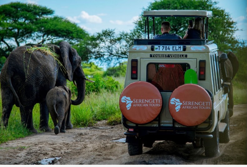 Tarangire National Park