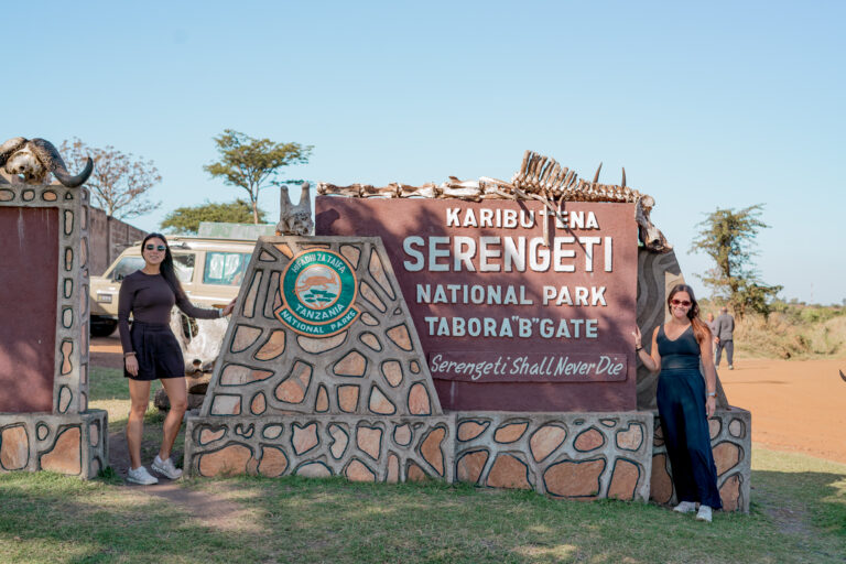 4 Day Taste of Tanzania Budget safari