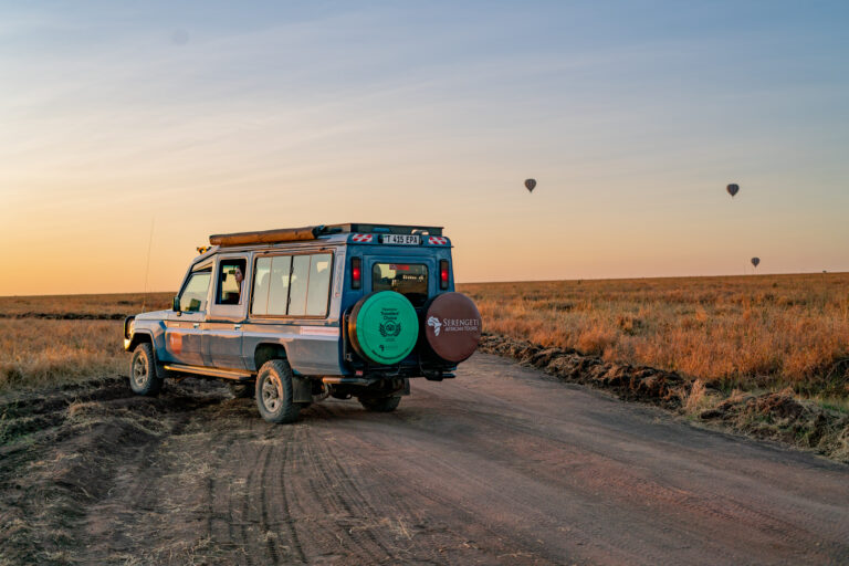 3 Days Tanzania Big 5 Budget Safari